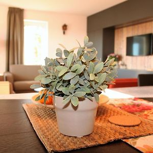 Apartment mit 3 Schlafzimmern